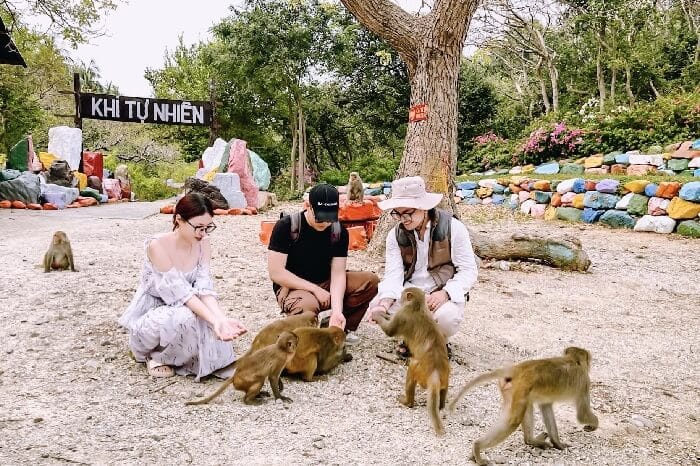 TOUR ĐẢO KHỈ SUỐI HOA LAN NHA TRANG - Đại Việt Tourist